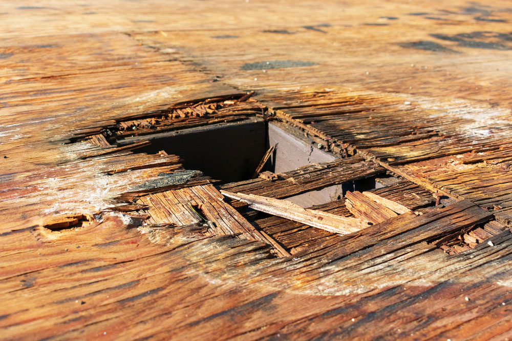 plywood decking damaged